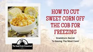 How To Cut Sweet Corn Off The Cob For Freezing