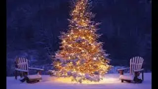 12 ФАКТОВ ПРО НОВЫЙ ГОД которые возможно вы не знали | Просто Макс