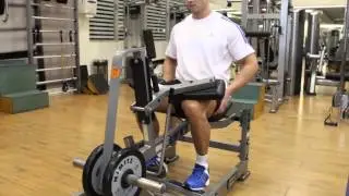 Machine Seated Calf Raise