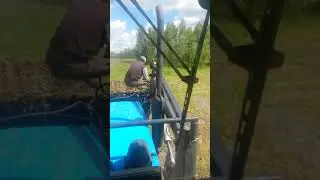 уборка сена..