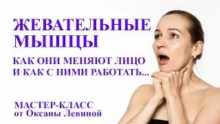 Жевательные мышцы. Как они меняют лицо и как с ними работать. Самомассаж лица