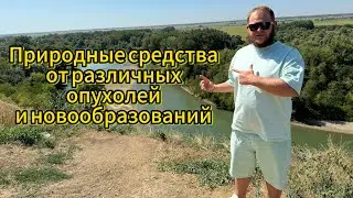 Природные средства от различных новообразований