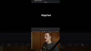 Animate Text with ONE-CLICK in Davinci Resolve | WippText