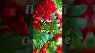 Вот и лето прошло #музыкальныеоткрытки #доброеутро