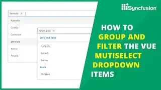 How to Group and Filter the Vue MultiSelect Dropdown Items