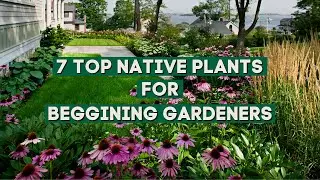 7 Top Native Summer Plants for Beginning Gardeners 🌸🌼 // PlantDo Home & Garden 🌺