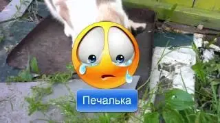 Кошка Пятнышко играла с мышкой и .....