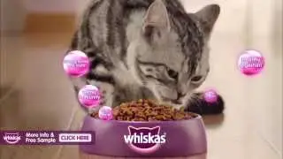 Whiskas - Nurture Their Nature