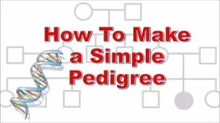 Pedigree | How to make a simple Pedigree