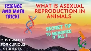 Asexual reproduction in animals