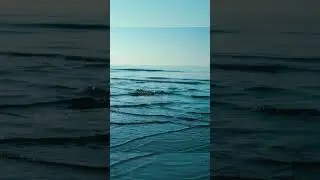 Если Ты Увидишь Это Немедленно Убегай 