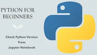 #54 Python for Beginners: Check Python Version From Jupyter Notebook