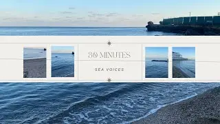 30 minutes Sea Sounds | Sleep Study Focus |Sleep Well | Most RELAXING NATURE Шум моря для СНА