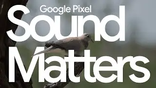 Pixel Sound Matters: Dawn Chorus Behind-the-Scenes