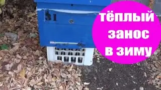Ульи на тёплый занос. Сборка гнезда пчел на зиму в улье на тёплый занос. Пчеловодство для начинающих
