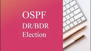 OSPF DR/BDR Election