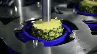 PND PINCYL8 Cilinder machine voor ananas