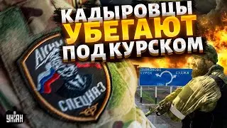 Кадыровцы обделались под Курском! Такого позора не было давно: боевики Рамзана трусливо удрали