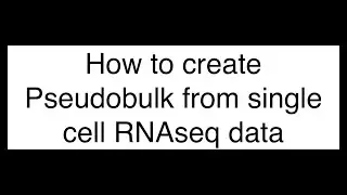 How to Create Pseudo Bulk from Single Cell RNAseq data