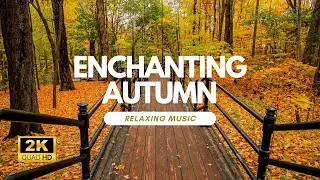 Incredible Fall Foliage - Best Autumn Nature Scenes from Around the World - Calming Music