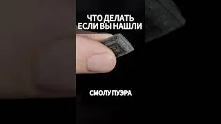 Как правильно пить смолу ? 🧐