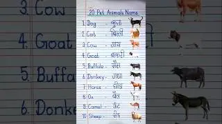 20 पालतू जानवरों का नाम इंग्लिश और हिंदी में / 20 Pet Animals Name in English and Hindi #shorts