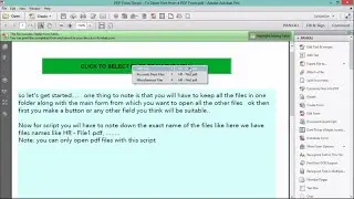 PDF Form Script   To Open files from a PDF Form