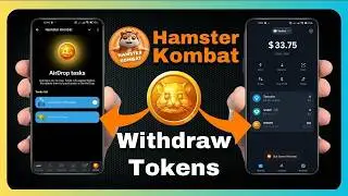 Hamster Kombat’s Biggest Update Yet! 🚨 Connect This Wallet Now & Cash In on September's Airdrop!