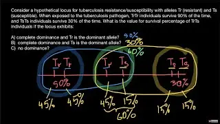 Complete dominance vs. no dominance