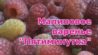 Как сварить варенье из малины на зиму. Рецепт Пятиминутка