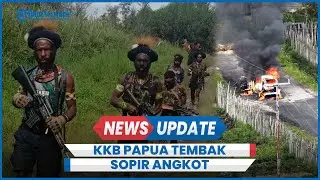 KKB Papua Tembak Sopir Angkot Bakar Mobil Korban