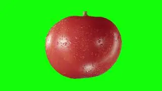 [4K] Tomato Spinning - Green Screen