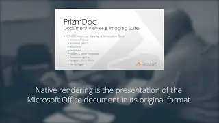 Native Rendering of Microsoft Office Documents: MSO conversion in PrizmDoc 12.0