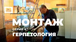 КРОВЬ ИЗ ГЛАЗ и О. ГЕНРИ ! Монтаж выставки