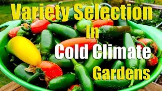 Vegetable Variety Selection In Northern & Cold Climate Gardens