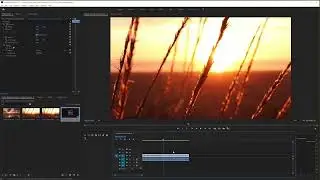 How To Remove Sound (Audio Track) From Video Clip in Premiere Pro