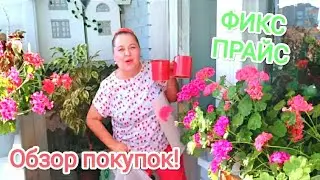 ФИКС ПРАЙС 🍀 Обзор покупок🧐 КЛАССНЫЕ находки 😍 Покупки за два месяца😳