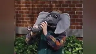 Barney Song : Elephant Song (Camera Safari)