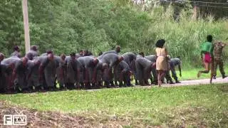 Avifauna Shoot In Trinidad - FADER TV