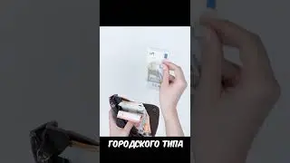 Исполняют ли такие рыбки желания? #shorts