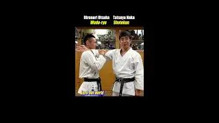 【Wado-ryu and Shotokan】Differences in 