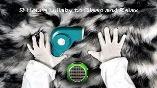 Hair Dryer Sound 212 and Fan Heater Sound 2 | Playing with Fur | 9 Hours Lullaby to Sleep and Relax