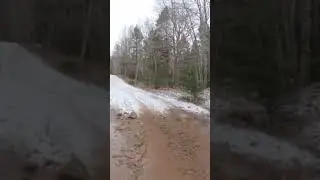 Exploring old logging roads #avoidingchores #canada #canam #offroad #zoleo #outdoors