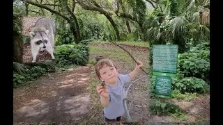 Exploring Nature Trails at Indian Hammocks Park