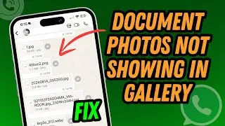 Whatsapp Document Photos Not Showing In Gallery [FIX]