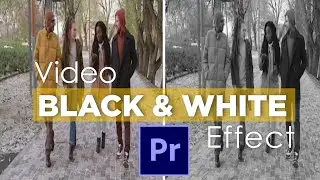 Black & White Effect in Adobe Premiere Pro 