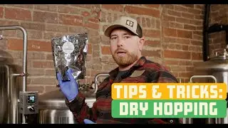 Best Dry Hopping Techniques