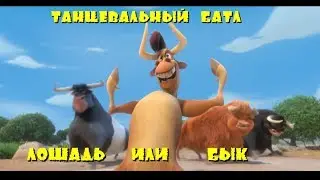 Батл лошадей и быков (Фердинанд 2017)