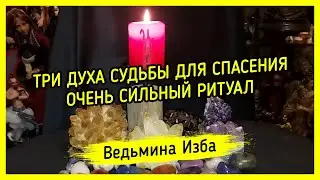 ТРИ ДУХА СУДЬБЫ ДЛЯ СПАСЕНИЯ. ОЧЕНЬ СИЛЬНЫЙ РИТУАЛ. ДЛЯ ВСЕХ. ВЕДЬМИНА ИЗБА ▶️ ИНГА ХОСРОЕВА