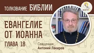 Евангелие от Иоанна. Глава 18. Священник Антоний Лакирев. Новый Завет